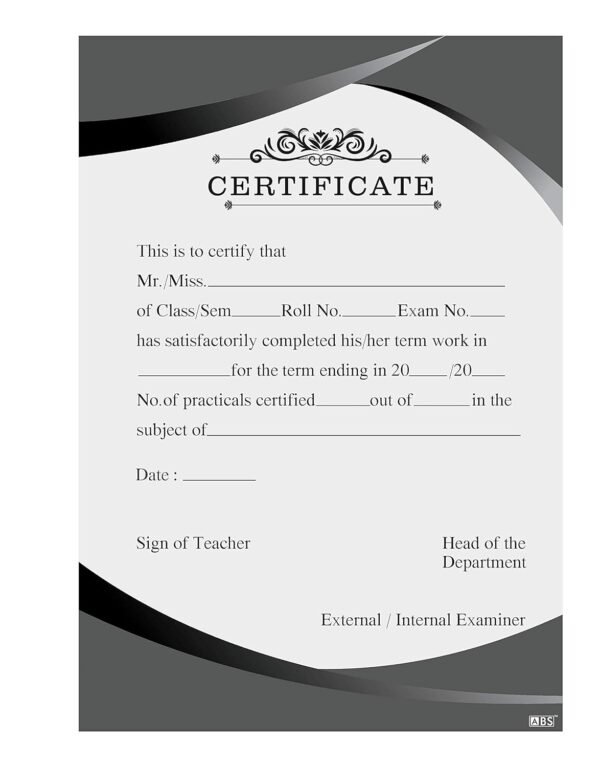 ABS Ethnic Double Side Ruled Report Sheet Pack of 100 Sheets